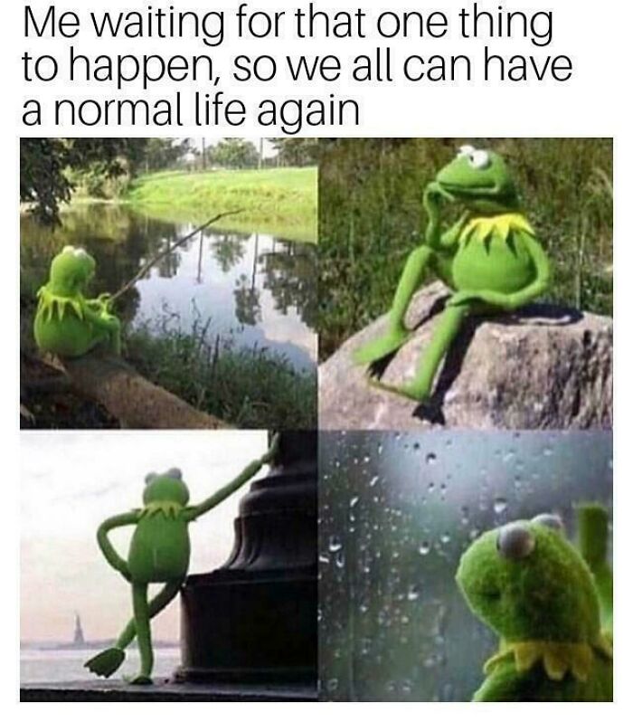 Kermit frog waiting and reflecting for normal life to return meme