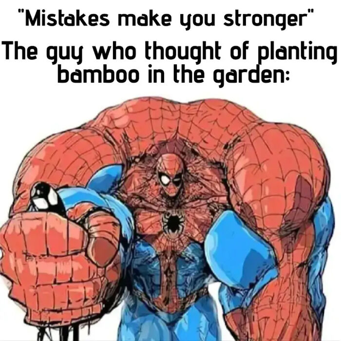 Meme showing muscular Spiderman with bamboo garden mistake joke
