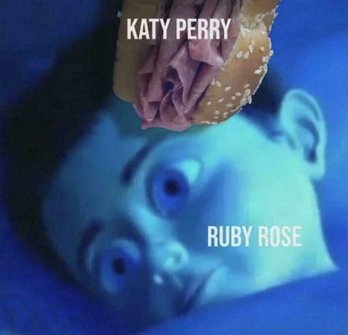 Meme showing a burger labeled Katy Perry over shocked face labeled Ruby Rose