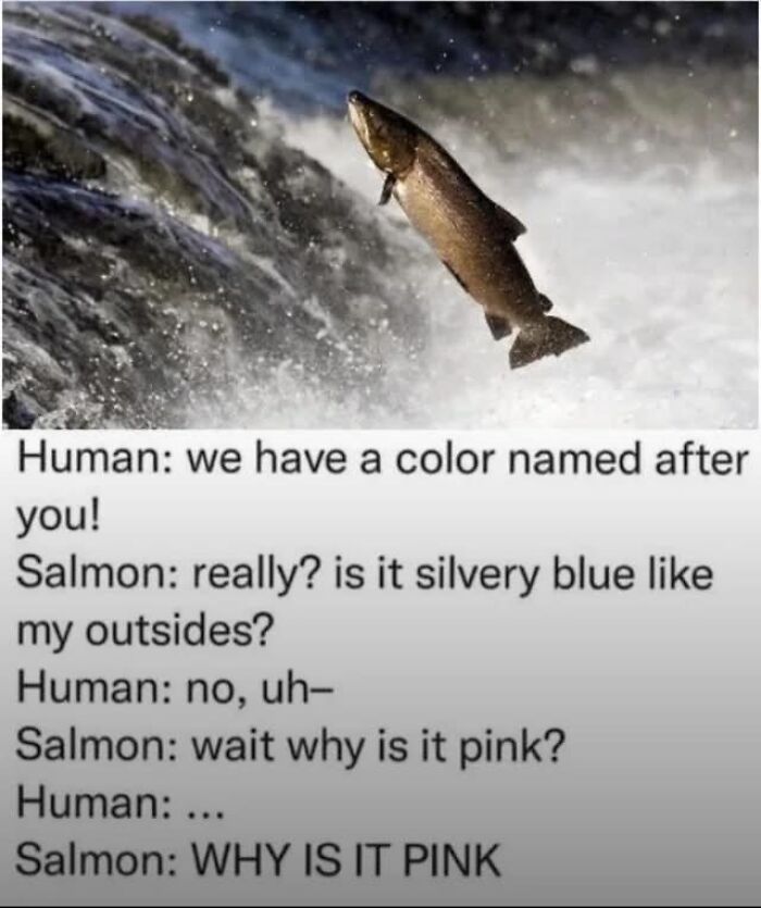 Meme about salmon questioning why the color named after it is pink instead of silvery blue