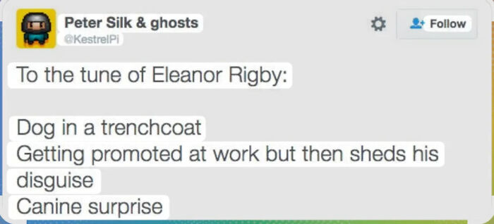 Tweet meme about dog in a trenchcoat with canine surprise lyrics