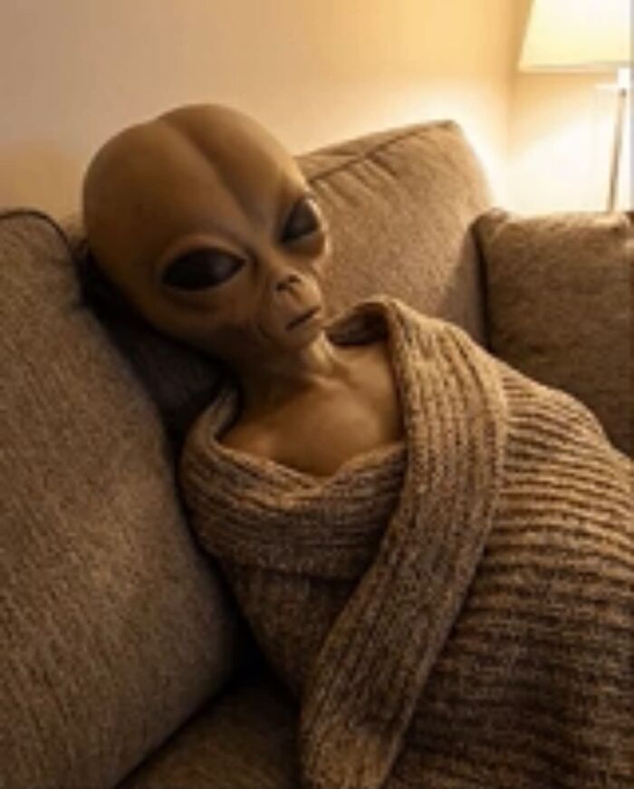 Alien wrapped in a knitted blanket sitting on a couch meme