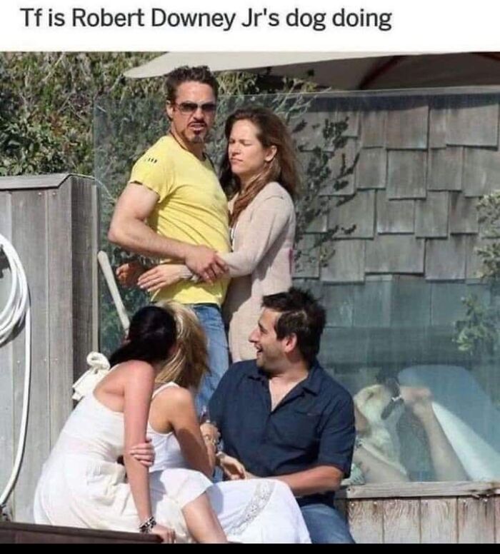 Funny Robert Downey Jr dog meme with people sitting and dog visible behind glass