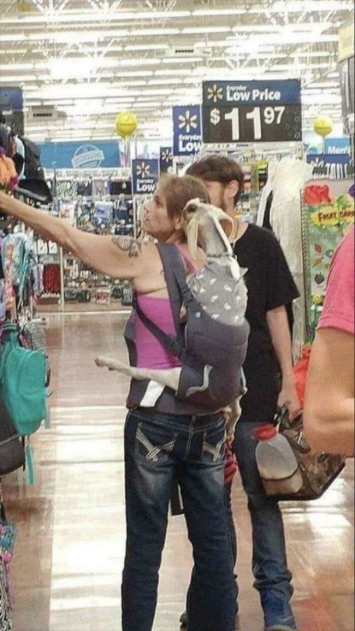 Shopper at Walmart wearing dog carrier with dog inside