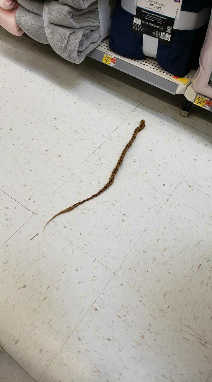 Rattlesnake tail on Walmart store floor near blankets aisle