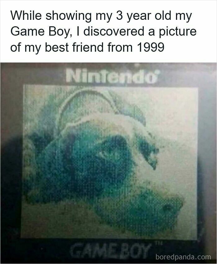 90s nostalgic Game Boy Color showing pixelated dog image from 1999