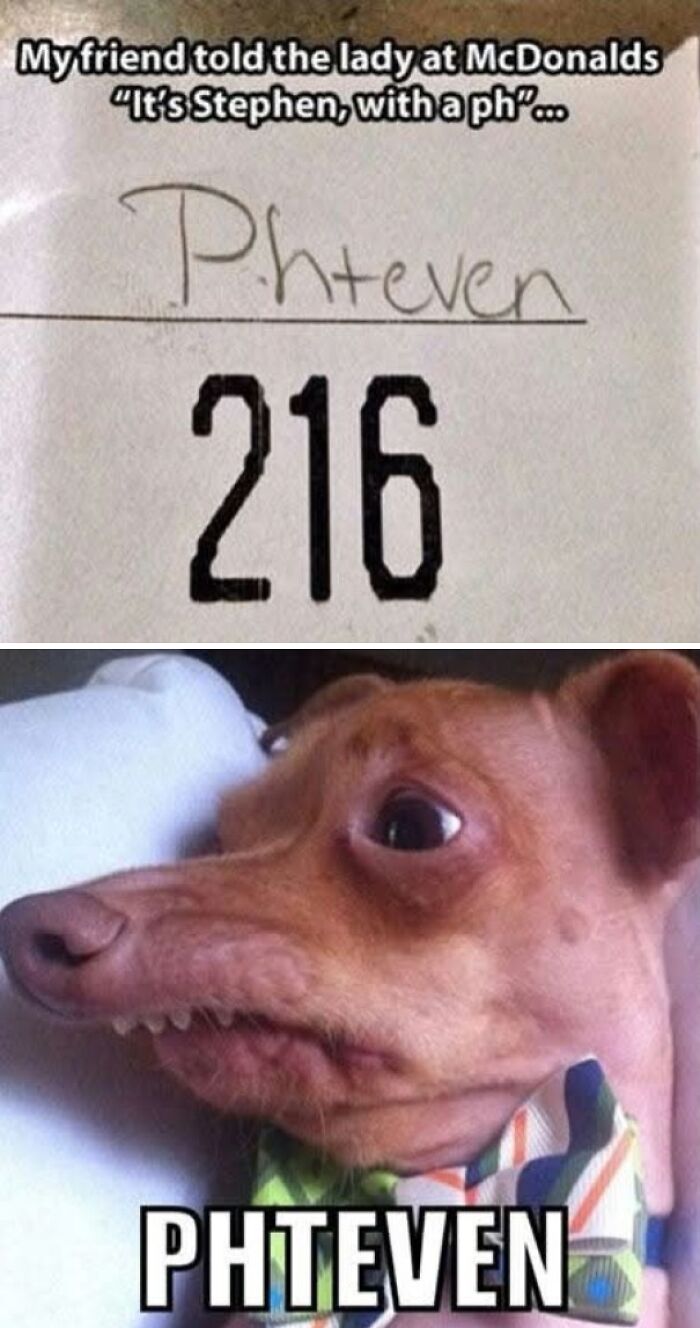 Funny meme about misspelling Stephen as Phteven with a weird dog photo