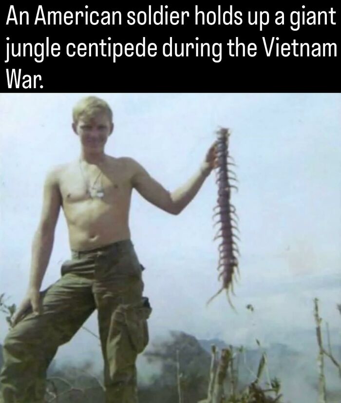 An American soldier holding a giant jungle centipede in a photo from fascinating photos and facts about history.