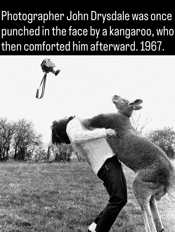 Photographer John Drysdale getting embraced by a kangaroo in 1967, among fascinating photos and facts about history.
