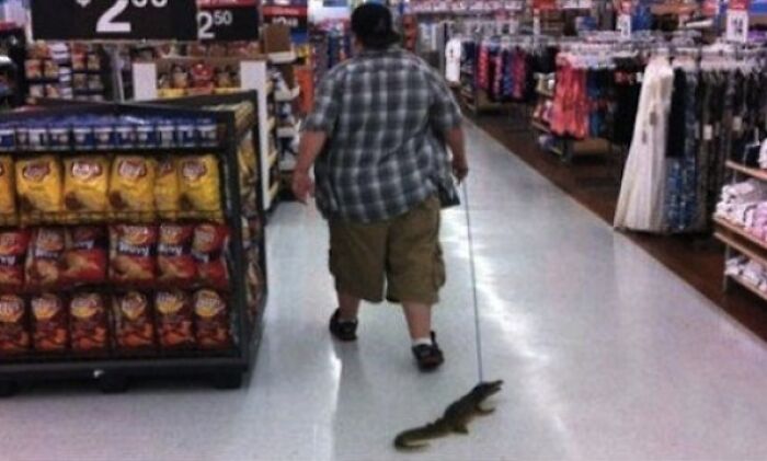 Person walking an alligator on a leash inside Walmart store aisle