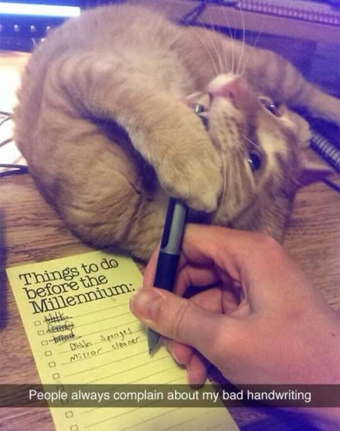 Cat playfully grabbing pen from human while making a list