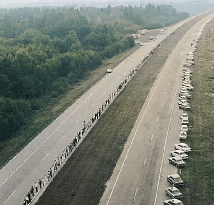 Rare historical photo of people lined up along an empty highway with parked cars