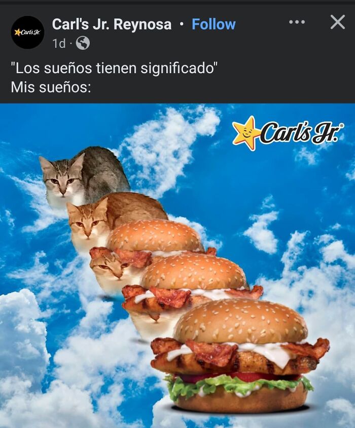 Carl's Jr. post showing cats replacing sandwich parts, mocking fast food dreams