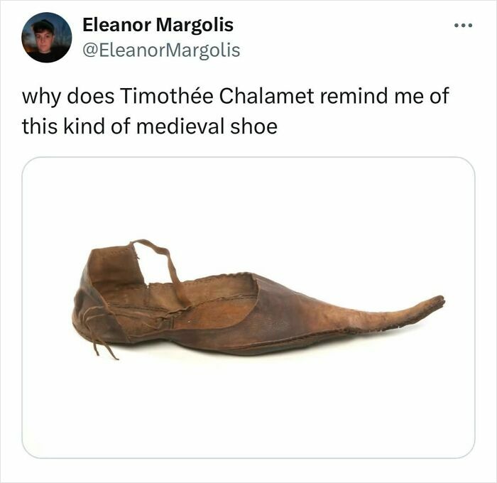 Medieval shoe resembling Timothée Chalamet shared on Twitter