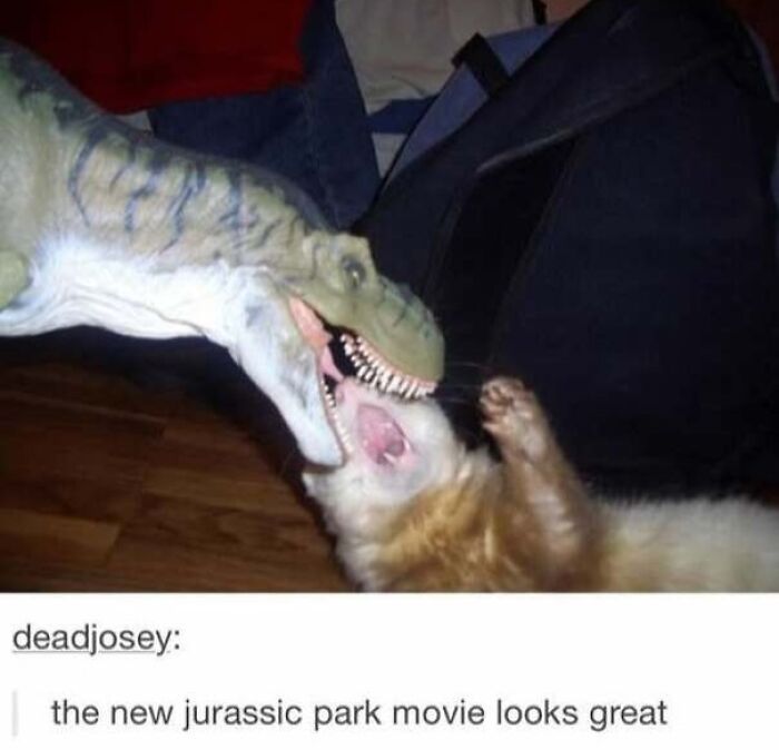Cat with dinosaur toy meme about new Jurassic Park movie