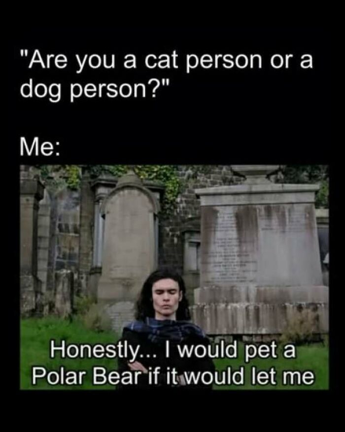 Strange pics meme asking about cat or dog person with a response about polar bears