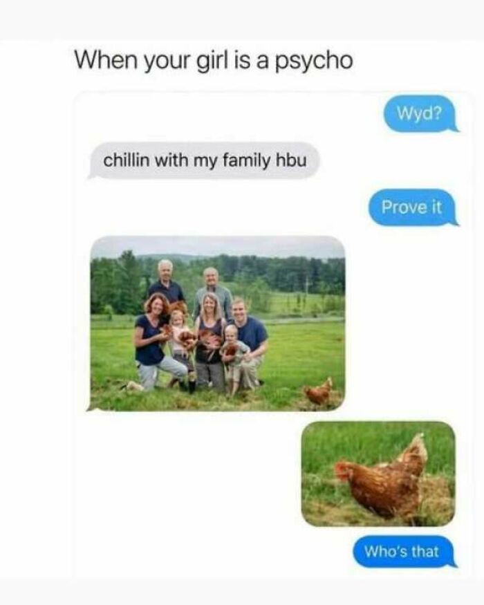 Funny pics meme showing text messages and a family photo with chickens