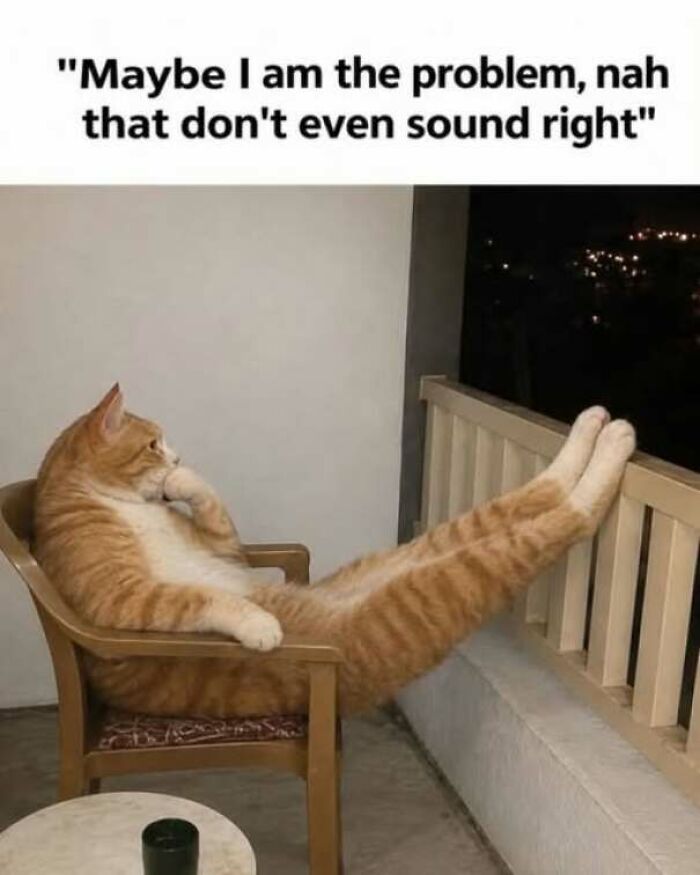 Funny pics meme of an orange cat lounging on a chair on the balcony