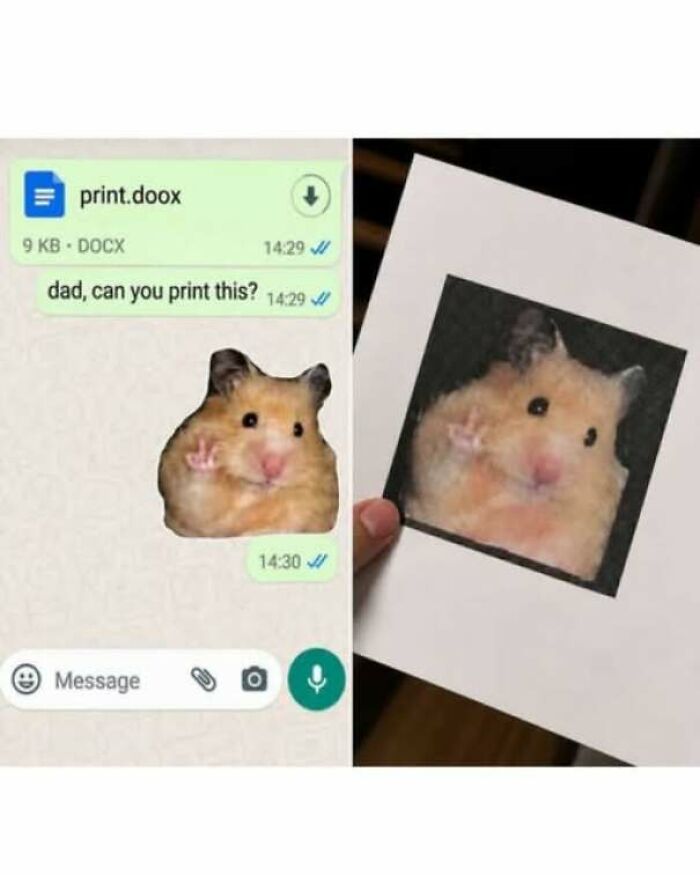 Funny pics of a dad printing a hamster sticker instead of a doc