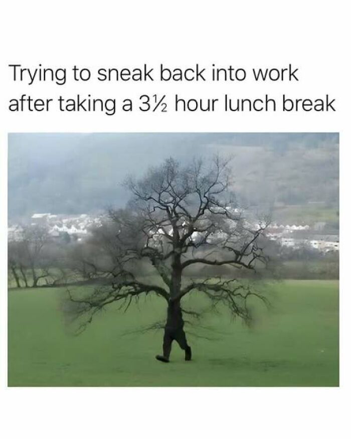 Strange pics of a person walking disguised as a bare tree