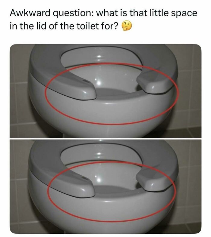 boys just livin post asking about space in toilet lid with red circle highlight