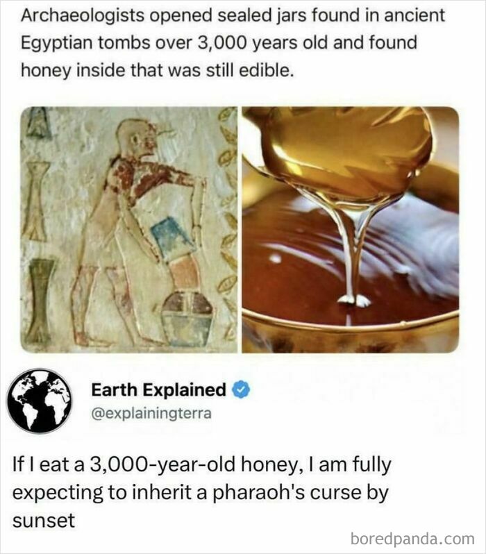 "If I Eat A 3,000-Year-Old Honey, I Am Fully Expecting To Inherit A Pharaoh's Curse By Sunset"