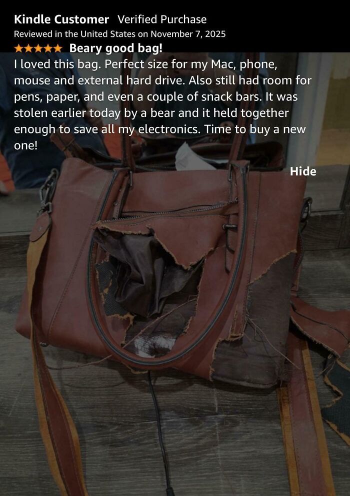 Five-star Amazon review of a bag chewed by a bear, still protecting electronics.
