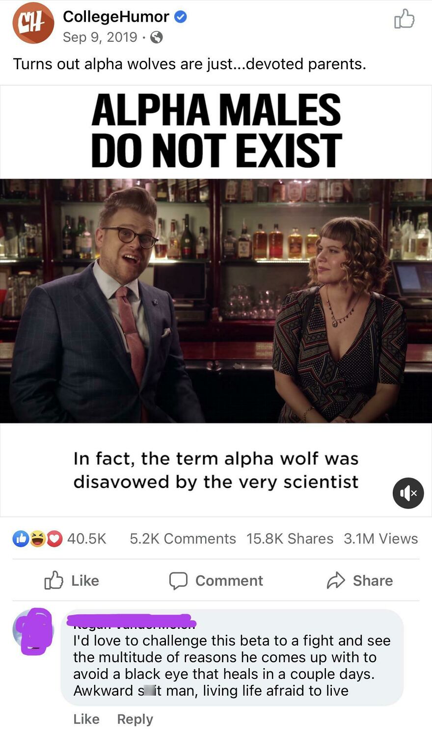 Alpha males do not exist meme with bar scene talking about alpha wolves and awkward online tough guy comment