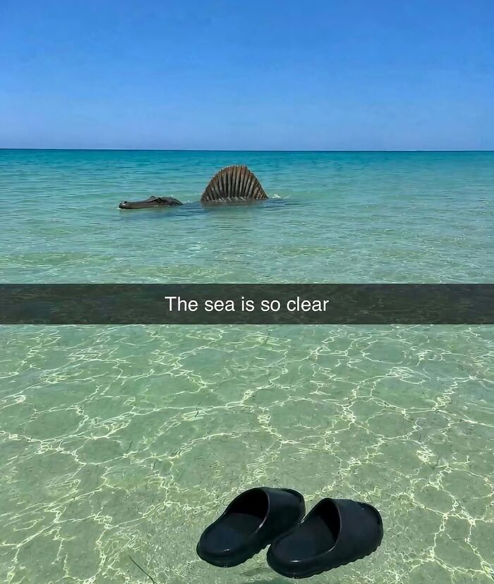 Hilarious pics of clear ocean water featuring a Spinosaurus swimming near the surface with a caption saying the sea is clear.