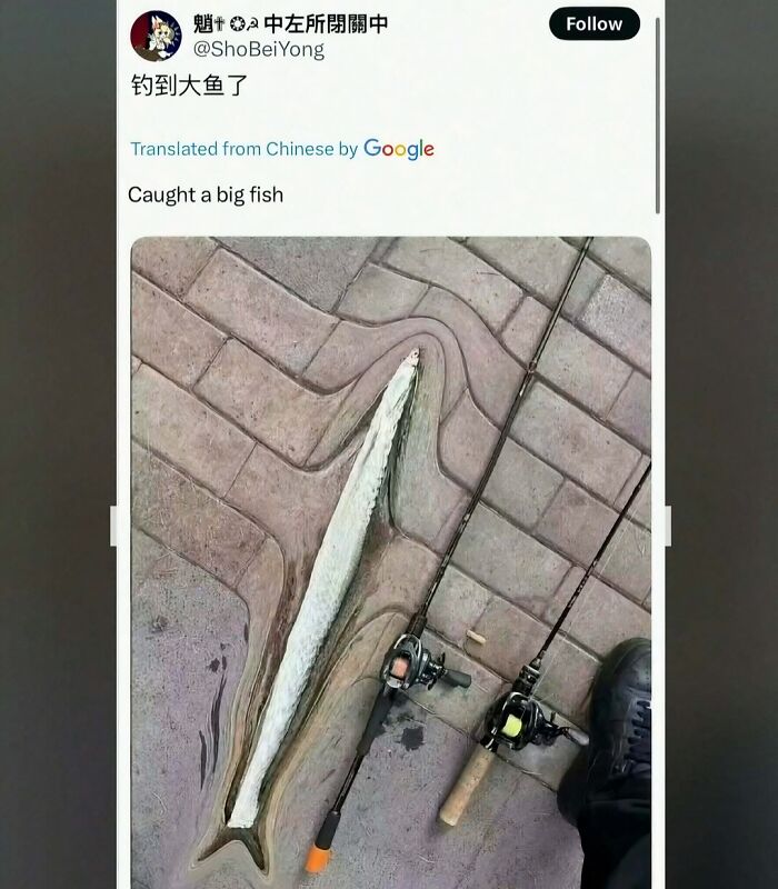 Hilarious pics showing a paving pattern that looks like a giant fish next to fishing rods