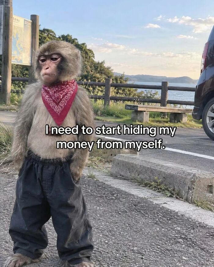 A funny picture of a monkey wearing pants and a bandana with text about saving money.