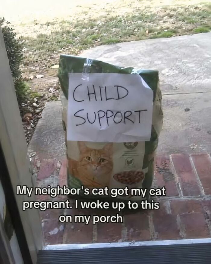 Funny pics of a cat food bag labeled child support left on a porch.