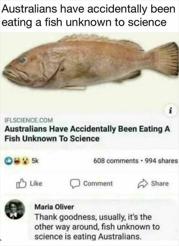 "Fish Unknown To Science Is Eating Australians"