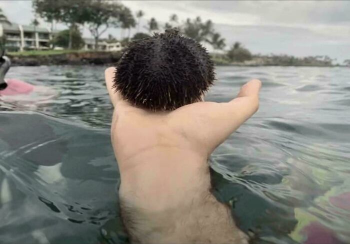 Hand in water holding sea urchin looks like a person with spiky hair confusing the eye