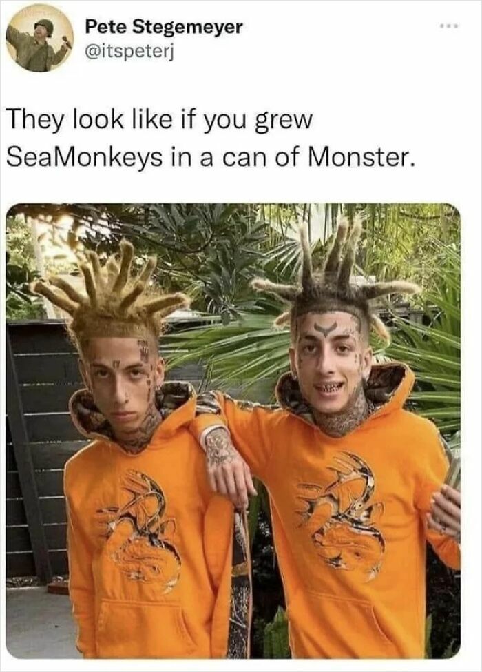 "They Look Like If You Grew Seamonkeys In A Can Of Monster."