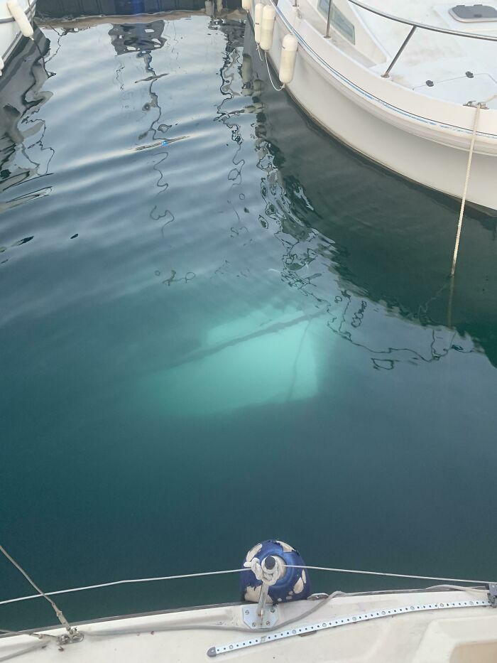 Creepy deep-water photo of a sunken boat visible beneath calm marina water