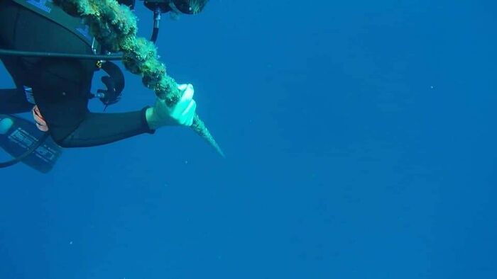 Scuba diver gripping a corroded underwater pipe in deep water