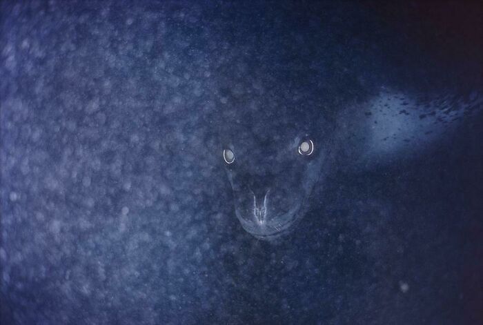 Black water pool with reflective surface resembling deep-water abyss