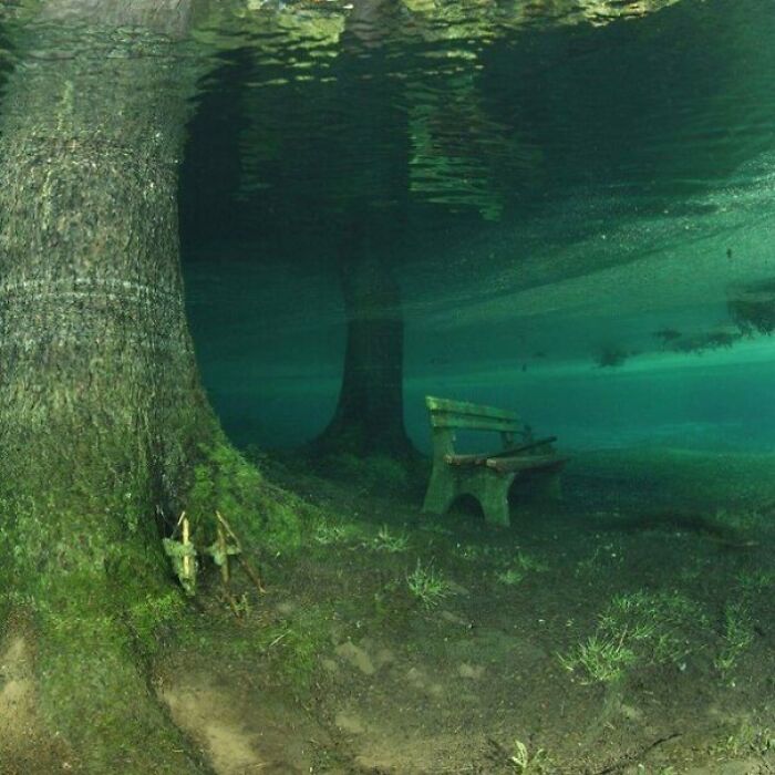 Underwater scene with submerged trees and an eerie park bench in deep water