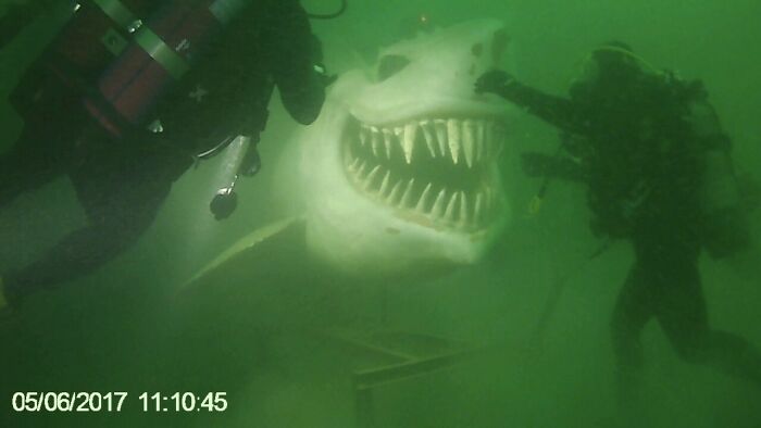 Divers face a creepy deep-water shark model underwater