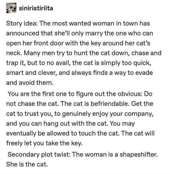 Tumblr story idea about a woman who only marries the one who can get a key from her clever shapeshifting cat