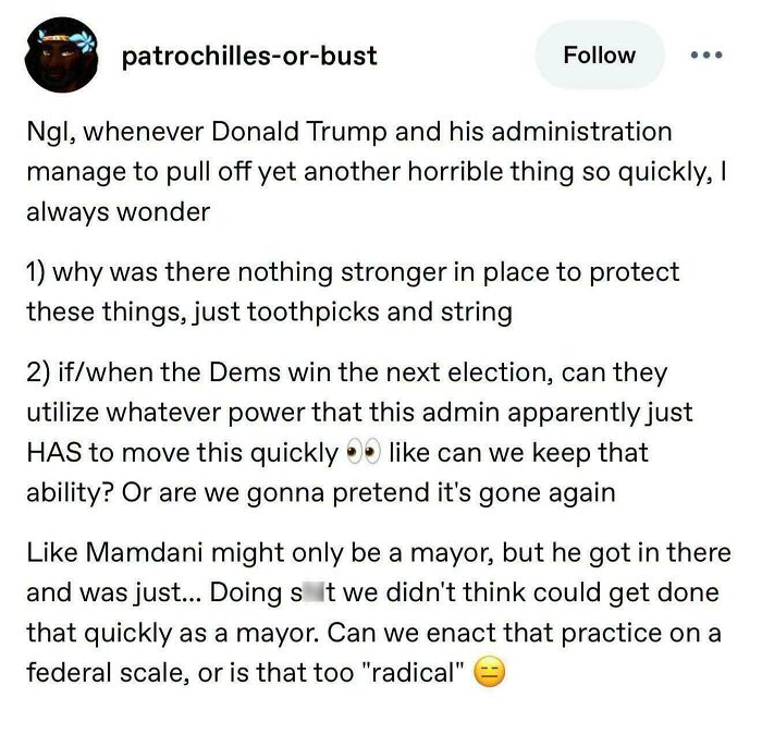 Tumblr post questioning protection against fast harmful actions by Trump administration