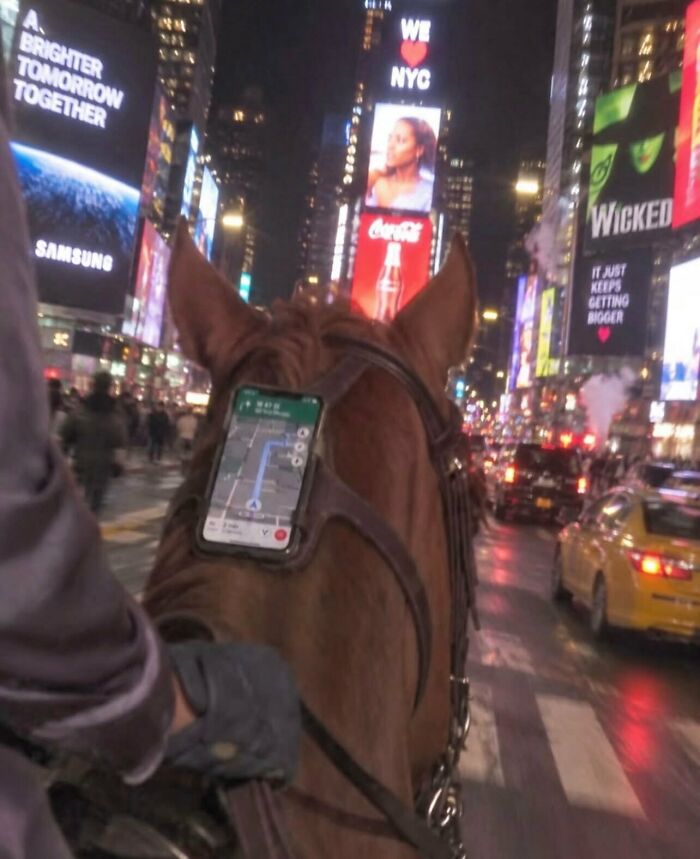 Weird and funny photo of a horse ridden through Times Square with a phone mounted on its head for navigation.