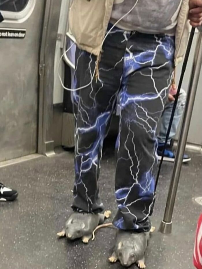 Person wearing lightning print pants and rat-shaped shoes in a subway, one of many random photos.