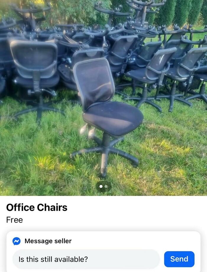 Free office chairs listed online scattered across a grassy lawn, one of many weird and funny photos.