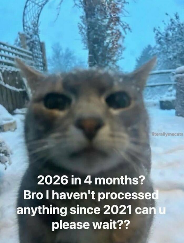 Cat staring into the camera in snowy weather with funny text about time passing, one of many random photos.