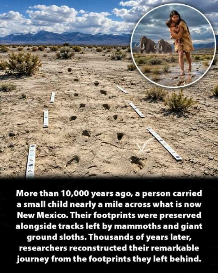 Ancient footprints in New Mexico showing interesting history moments from prehistory