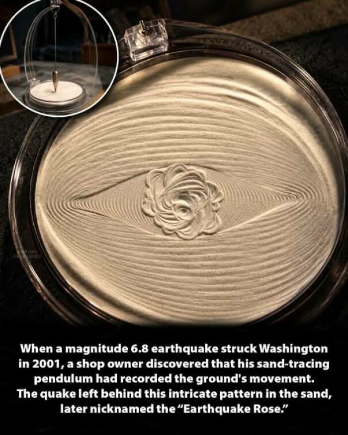 Intricate rose pattern created in sand by a pendulum during an earthquake, reflecting unique history moments.