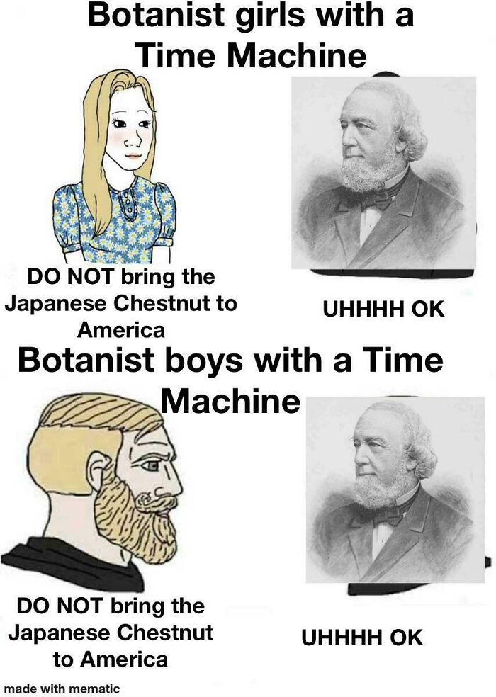 Botanist meme joking about bringing Japanese Chestnut to America using a time machine
