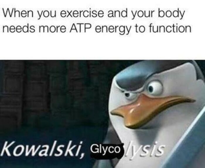 Funny biology meme about exercising and needing more ATP energy with penguin character